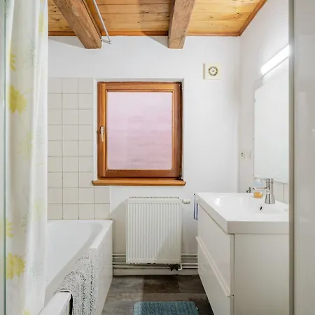 Grand-gite - Le Bleuet Apartment Issenhausen