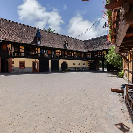 Apartment Grand-gite - Le Bleuet Issenhausen