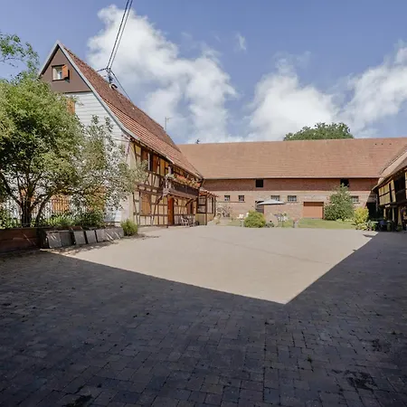 Apartment Grand-gite - Le Bleuet Issenhausen